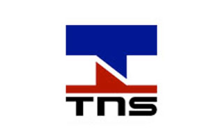 Thai Nippon Steel Thai Nippon Steel Logo